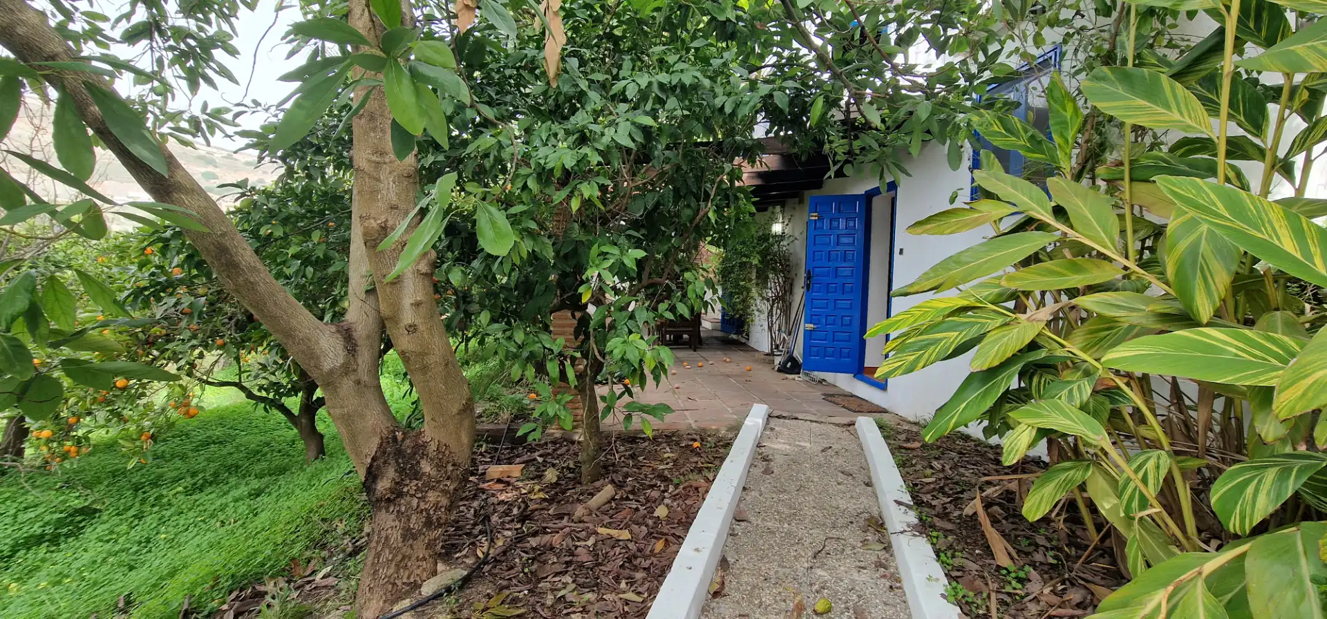 Jardín de Finca rústica en venta en Alhaurín El Grande con Aire acondicionado, Calefacción y Jardín privado