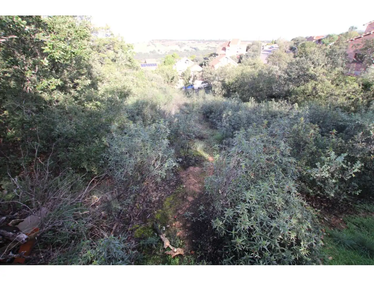 Rural land for sale in Calle Monteaveruelo, imagen 2