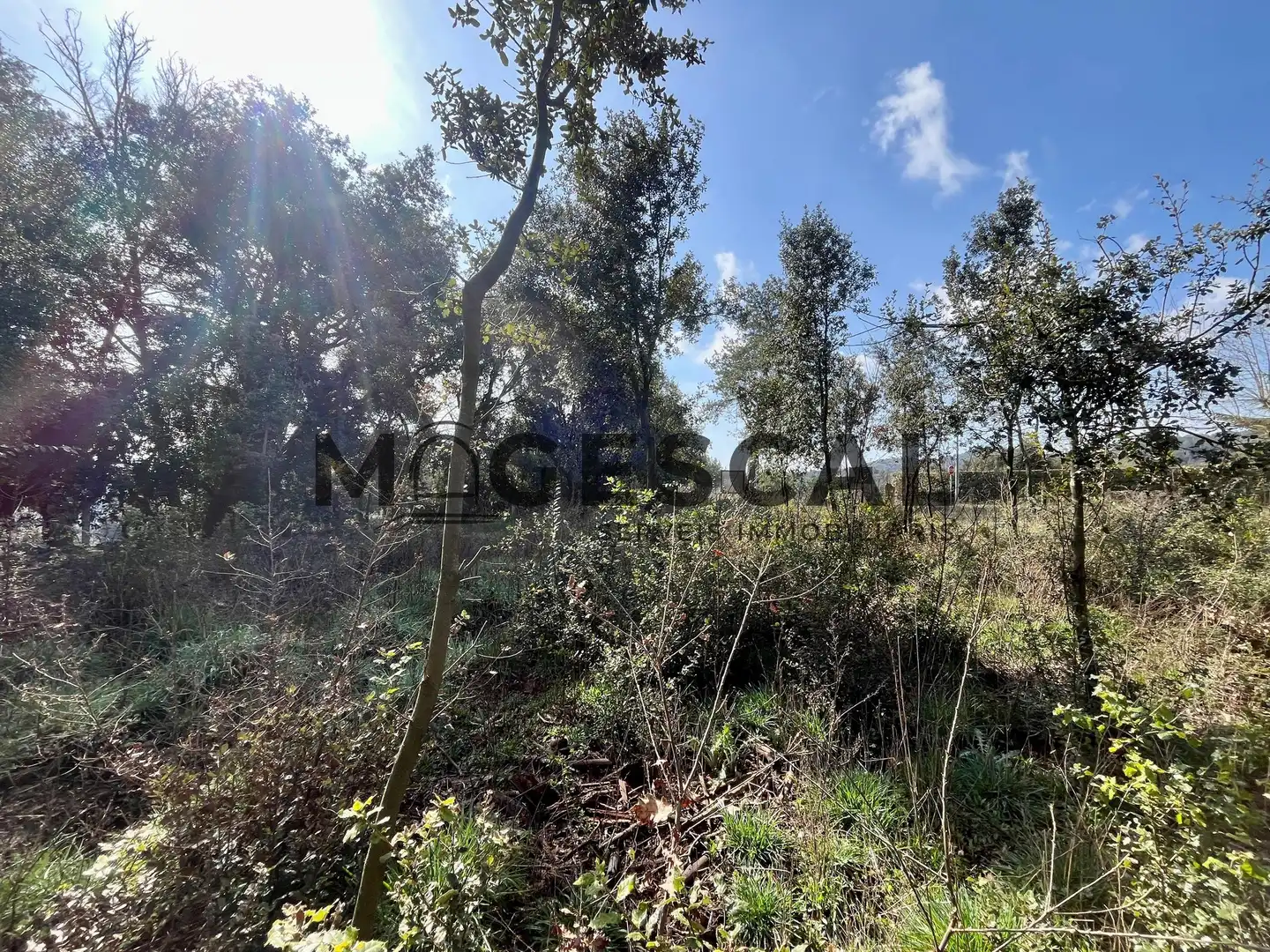 Terrenys i solars en venda a LLUIS BADO, imagen 21
