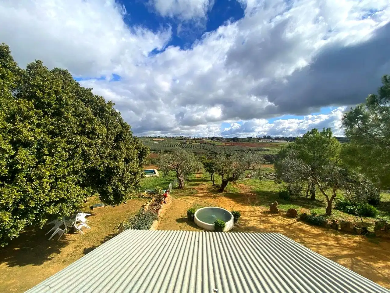 Jardín de Finca rústica en venta en El Viso del Alcor