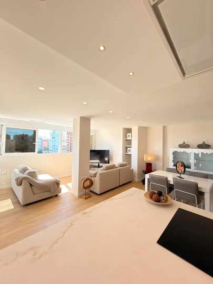 Living room of Flat for rent in Alicante / Alacant  with Air Conditioner, Private garden and Terrace