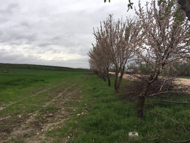 Terreno en Alquiler en Sol