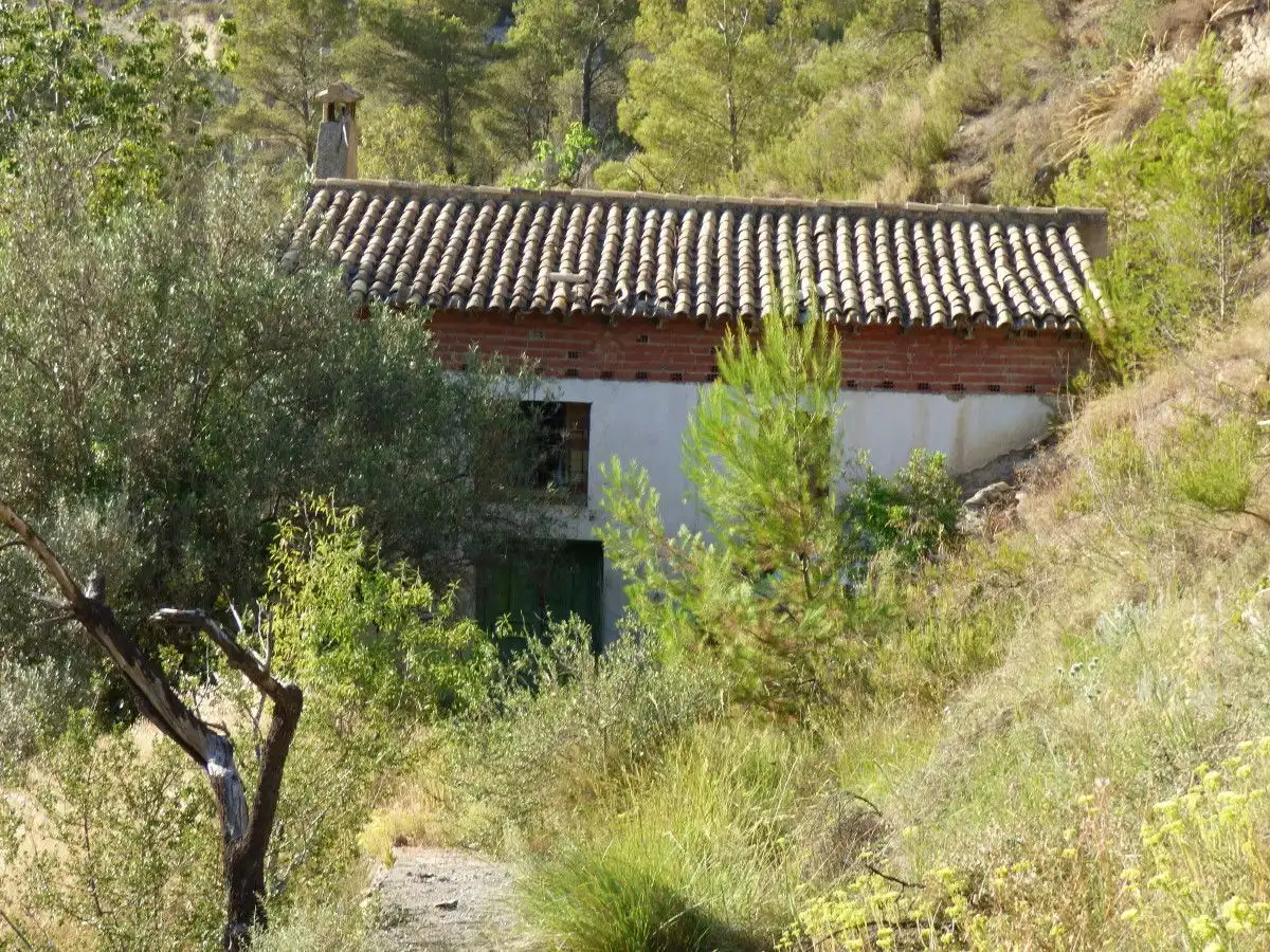 Vista exterior de Finca rústica en venta en Relleu con Jardín privado y Trastero