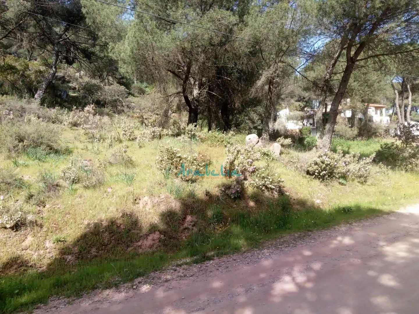 Terreny residencial en venda a Periurbano Oeste - Sierra
