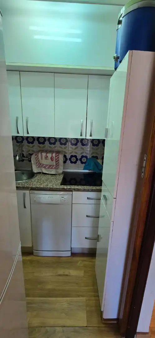 Cuina de Estudi de lloguer en El Rompido amb Aire condicionat, Moblat i Forn