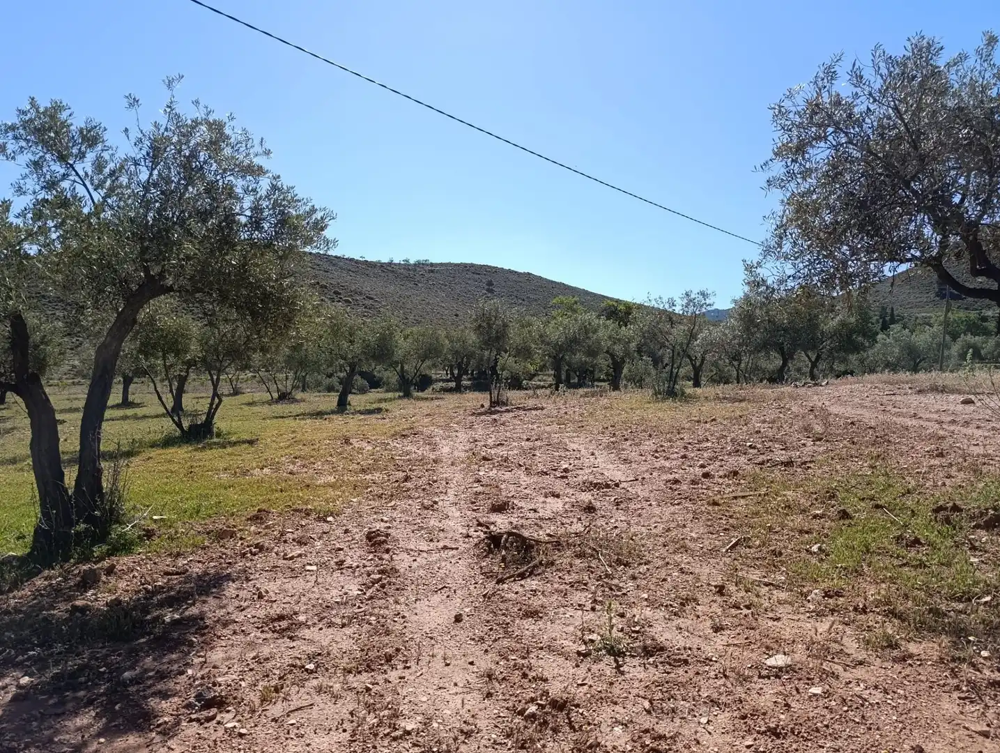 Rural land for sale in Laujar de Andarax, imagen 6