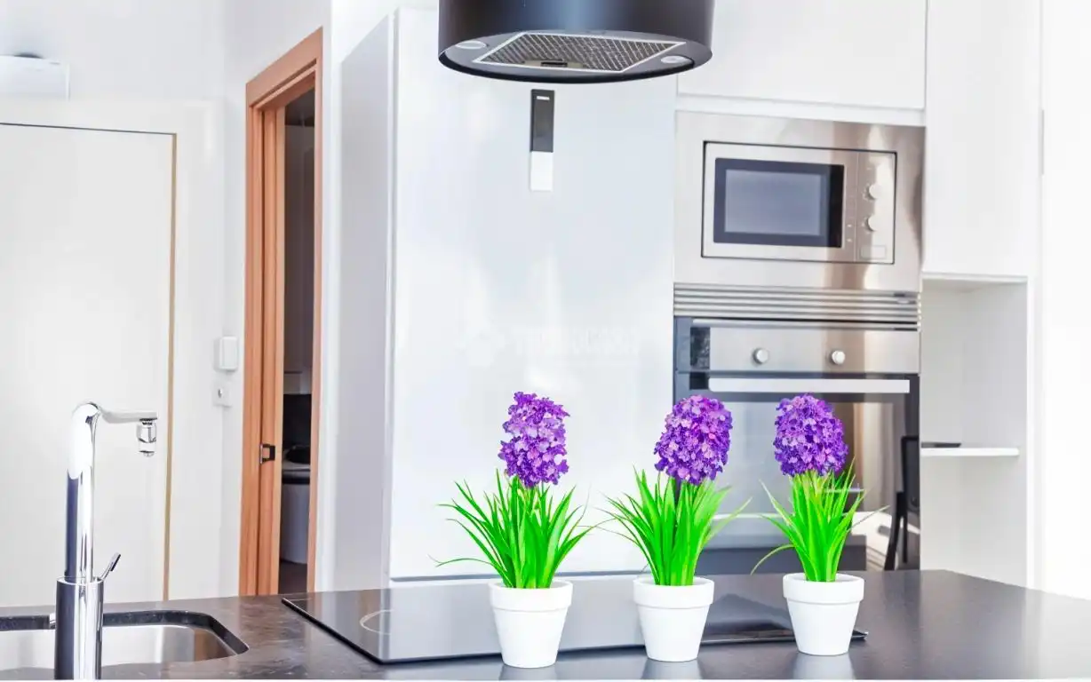 Cocina de Piso en venta en Barcelona con Aire acondicionado, Parquet y Balcón
