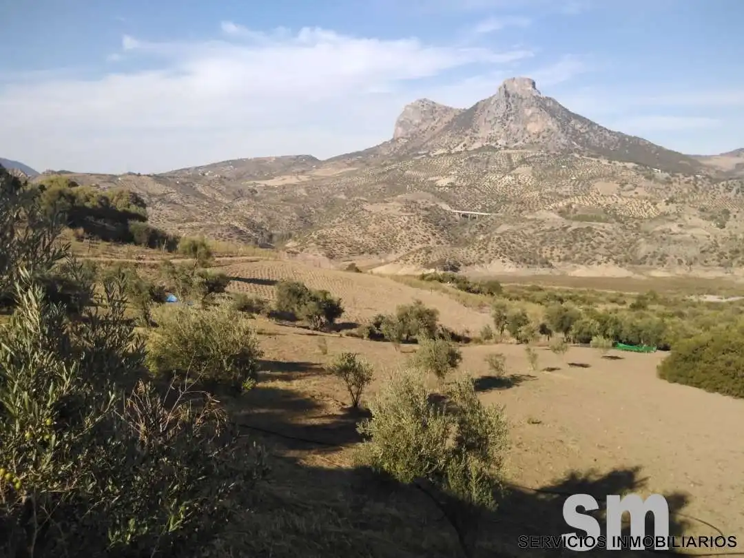Terreno en venta en Zahara