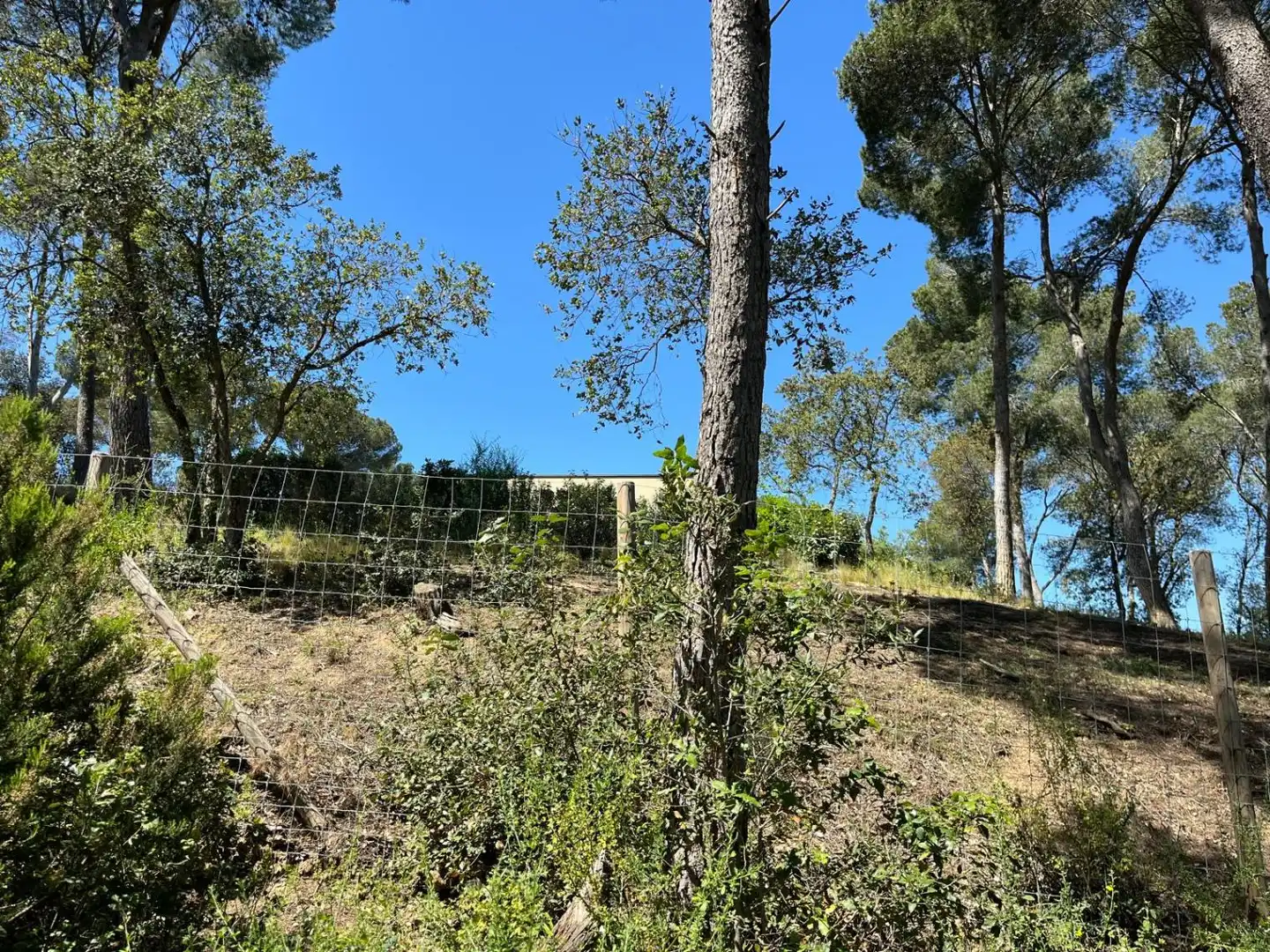 Terreny residencial en venda a Tamariu, imagen 13