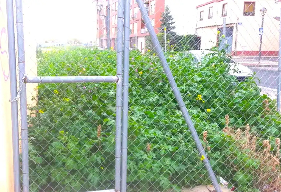 Terreny residencial en venda a Calle Jacinto Benavente, imagen 7