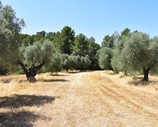 Finca rústica en venda en Lledó