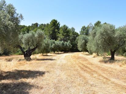 Finca rústica en venda en Lledó