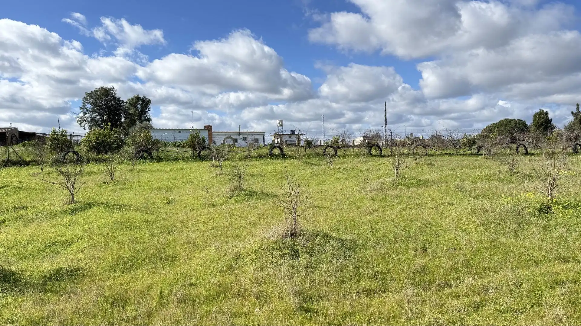 Country homes for sale in Gibraleón