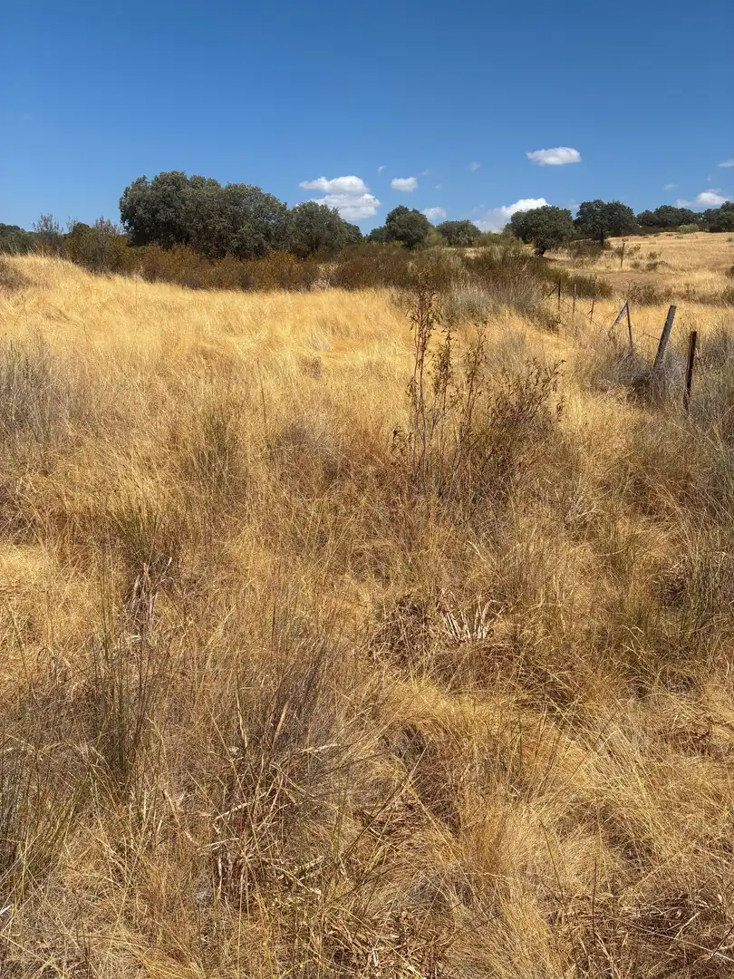 Terreno rustico in vendita a Mohedas de la Jara, imagen 18