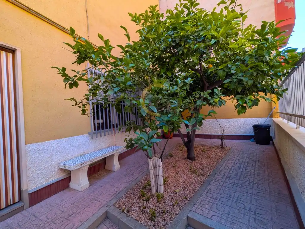 Casa amb terrassa en venda a Calle J Alfonso Vidal, imagen 5
