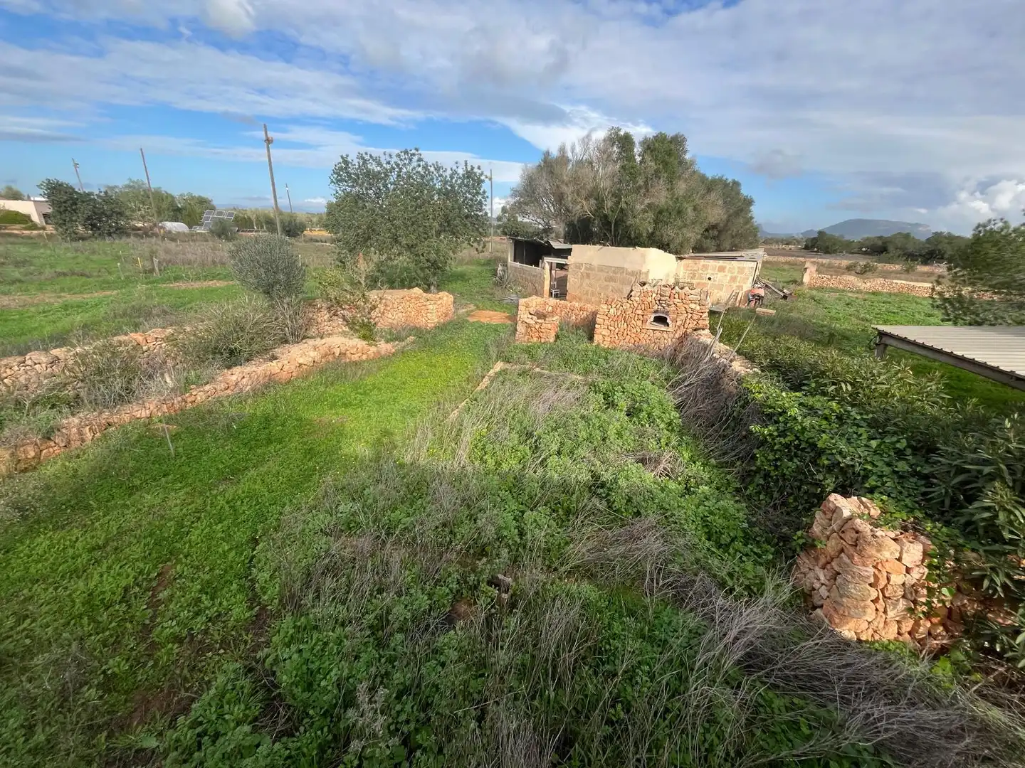 Finca rústica en venta en Llucmajor pueblo