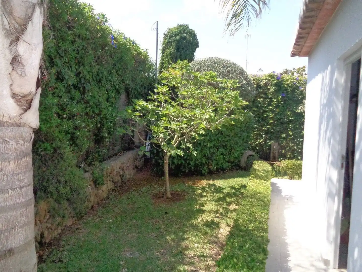 Jardí de Casa o xalet en venda en Jávea / Xàbia amb Aire condicionat, Calefacció i Jardí privat
