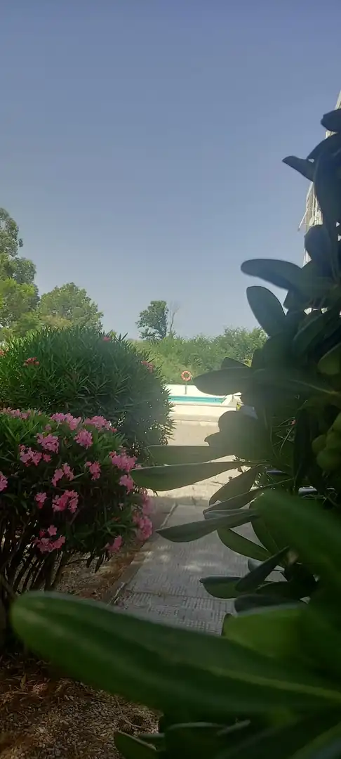 Piscina de Apartament en venda en Roses amb Jardí privat