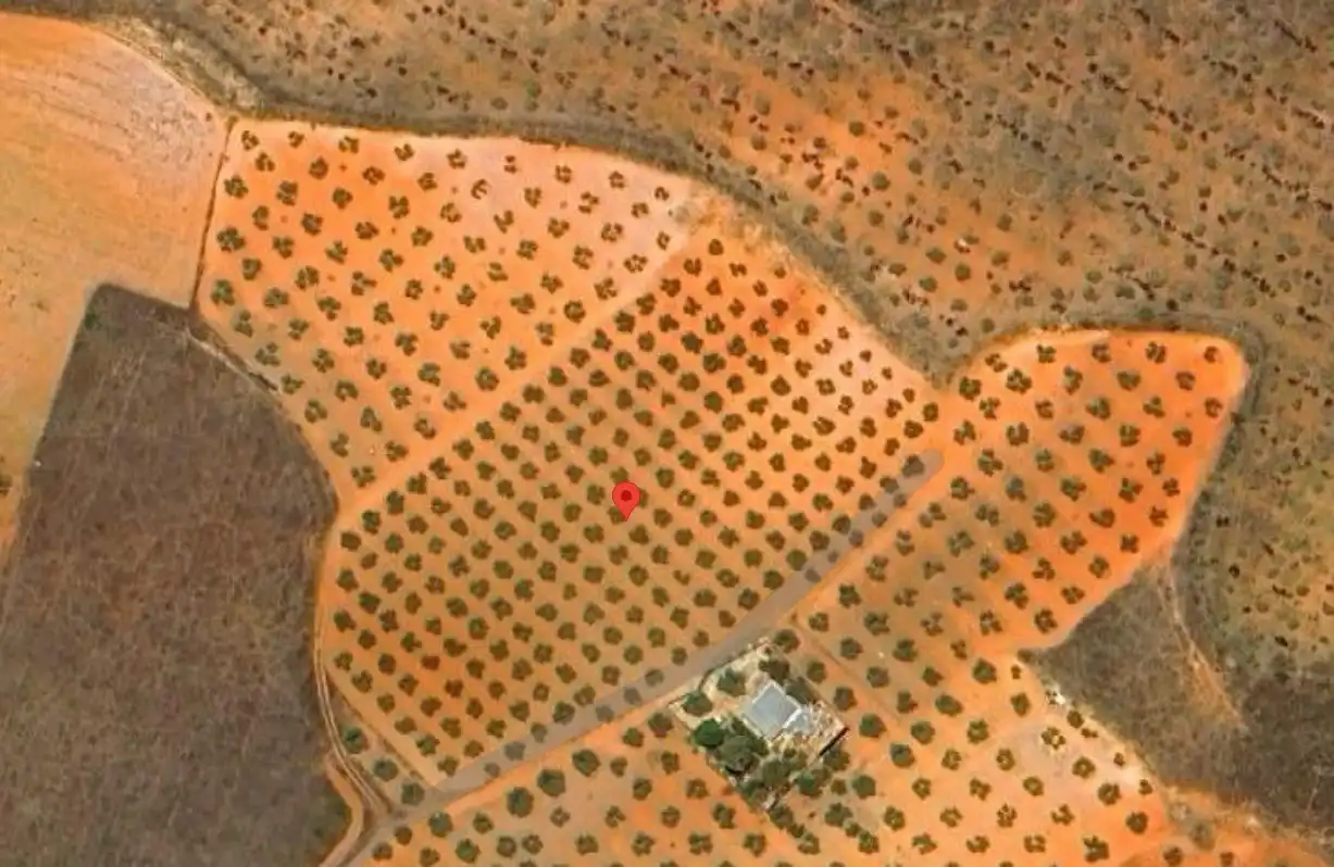 Casa rústica en venda a Valdepeñas, imagen 2