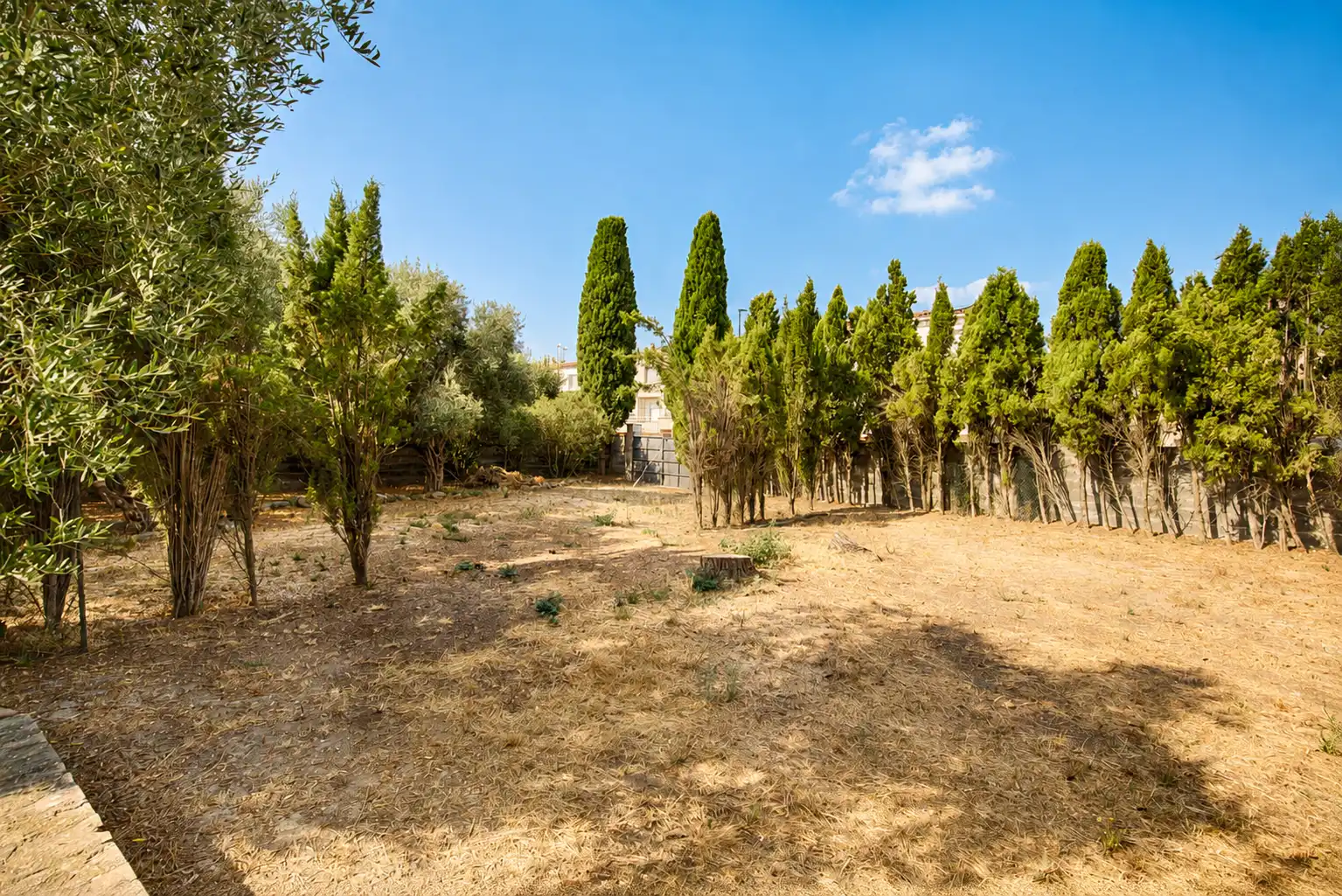 Finca rústica en venda en Castelló d'Empúries amb Jardí privat i Piscina