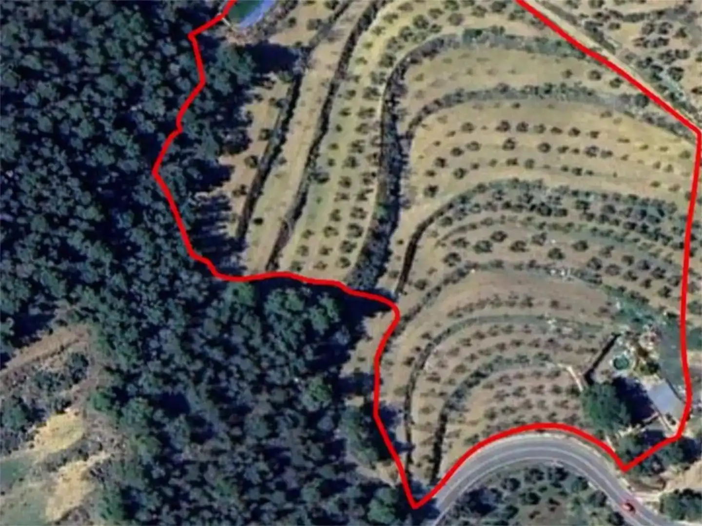 Casa o chalet en venta en Ibi con Piscina