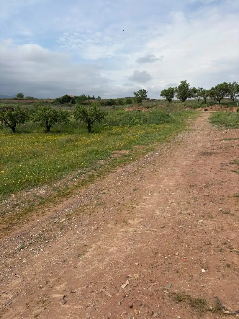 Terreno rústico en venta en Lardero, imagen 8