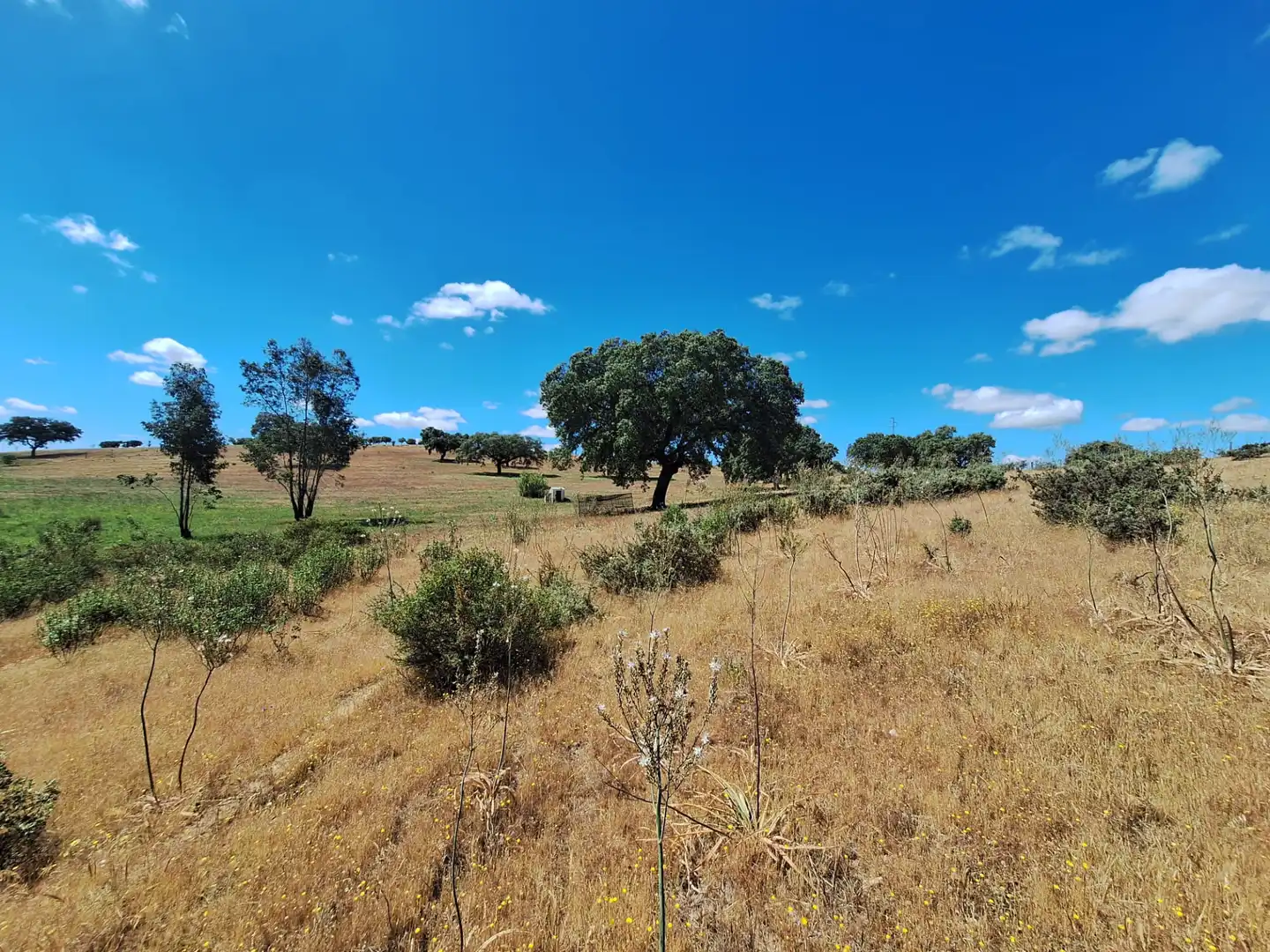 Terreno en venta en Calle Colon, 15, Tharsis