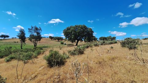 Photo 5 of Land for sale in Calle Colon, 15, Tharsis, Alosno