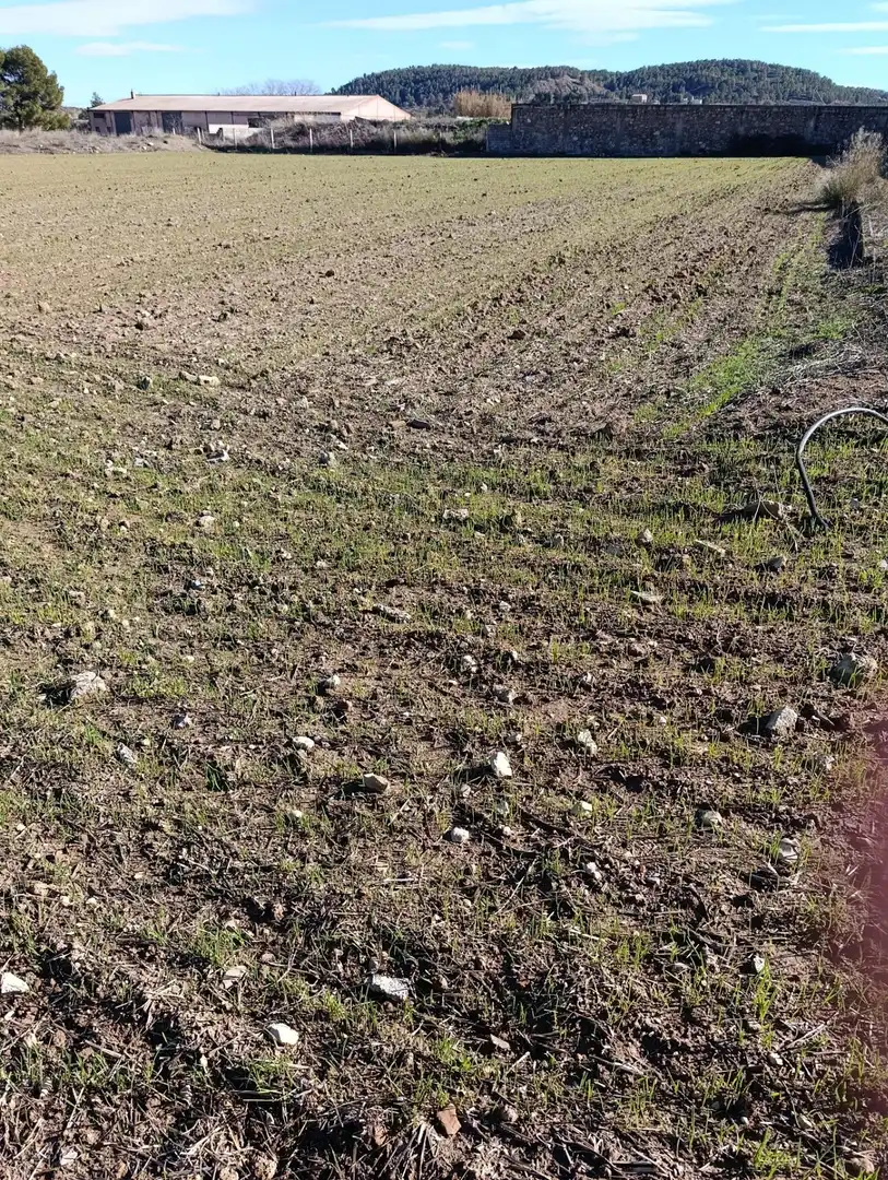 Rustikales Grundstück zum Verkauf in Cehegín, imagen 6