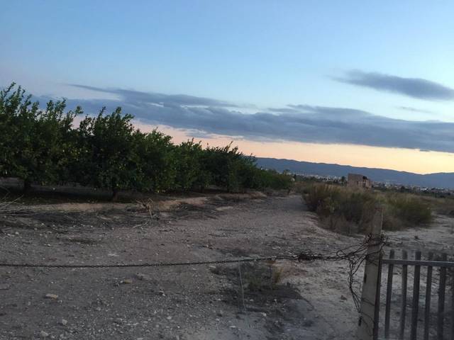 Terreno residencial en Venta en Javalí Viejo