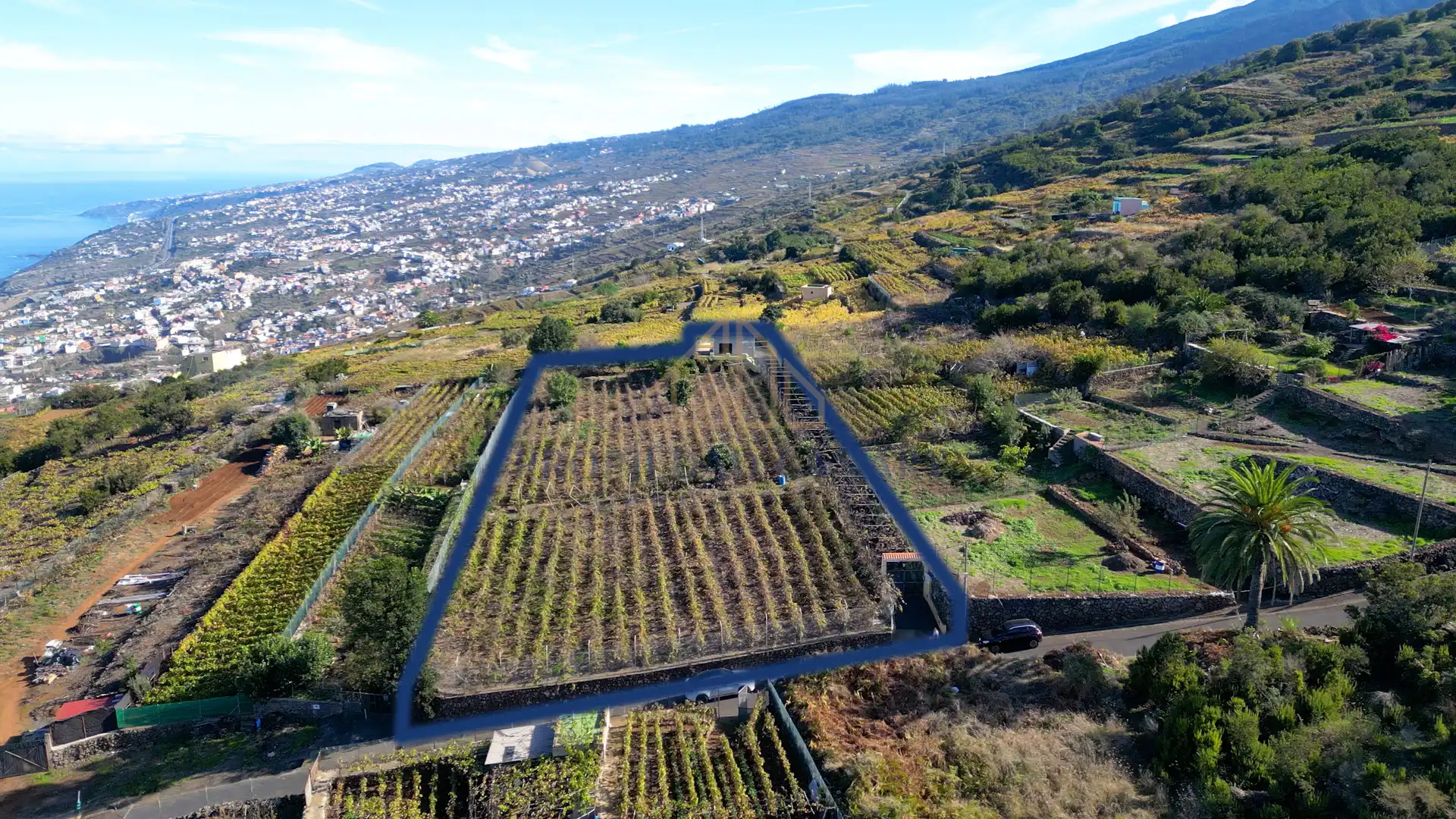 Finca rústica en venda en Santa Úrsula amb Terrassa