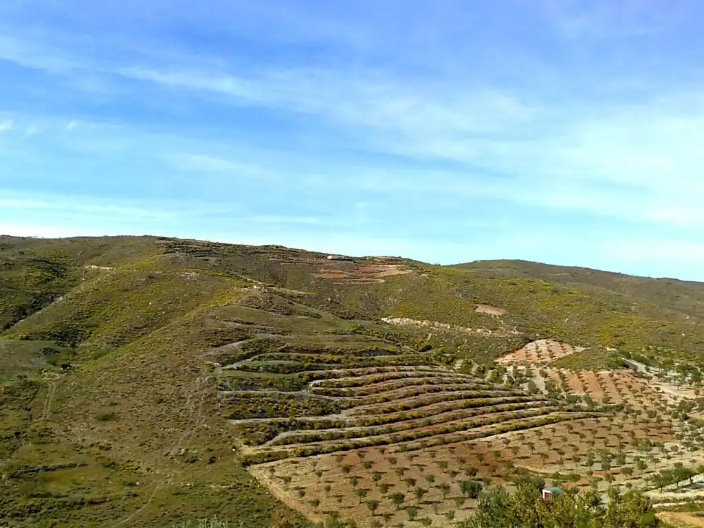 Casa o xalet en venda a del Hinojo a los Jerales, Lubrín