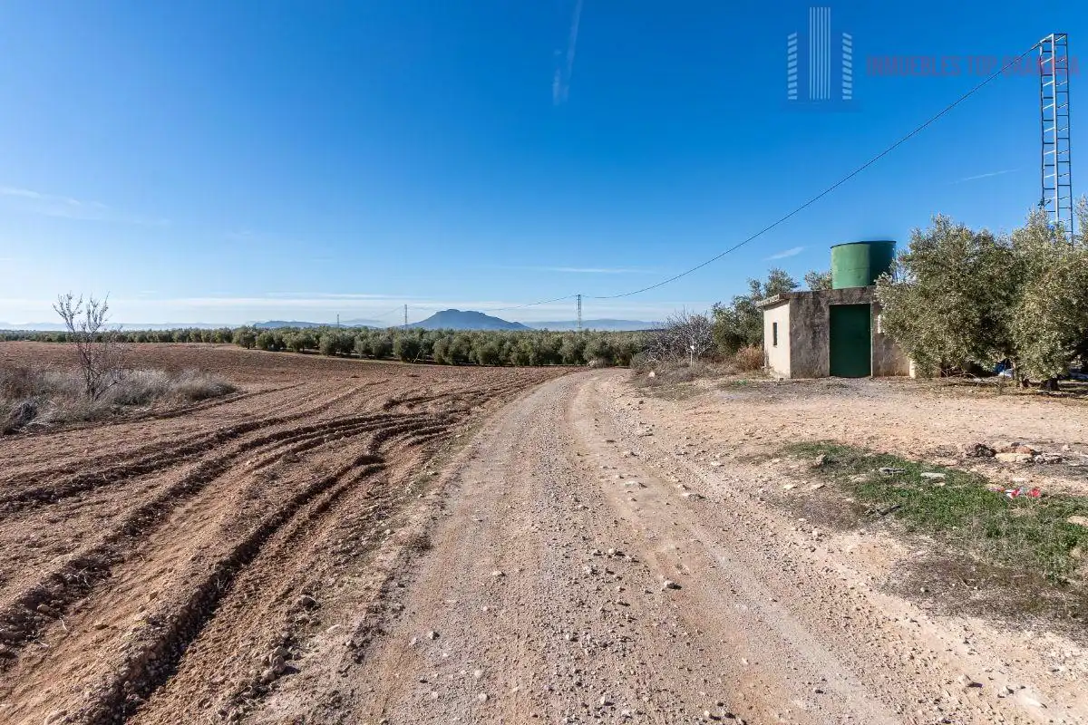 Terreni e lotti in vendita a Pago cortijo de las Monjas Parcela 19, imagen 15