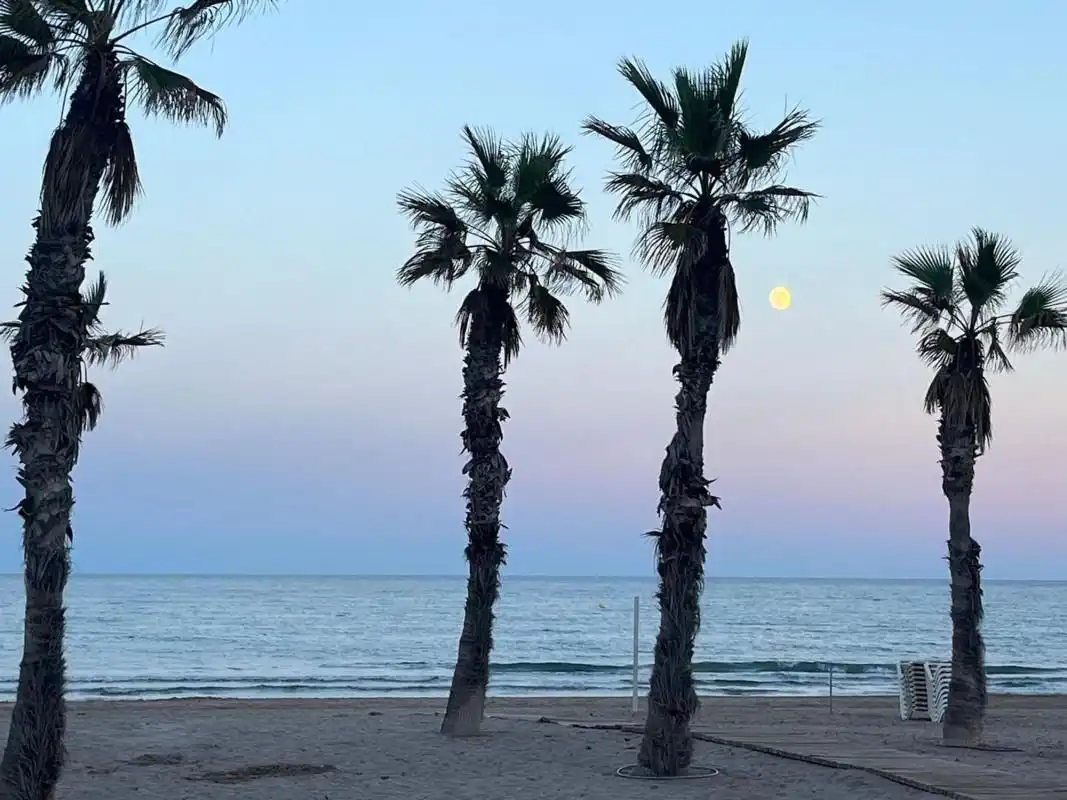 Apartamento con piscina en venta en Playa de San Juan - El Cabo de las Huertas, imagen 26