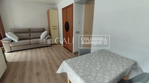 Foto 2 de Estudio de alquiler en Carrer del Pedral, 10, Encamp pueblo, Encamp