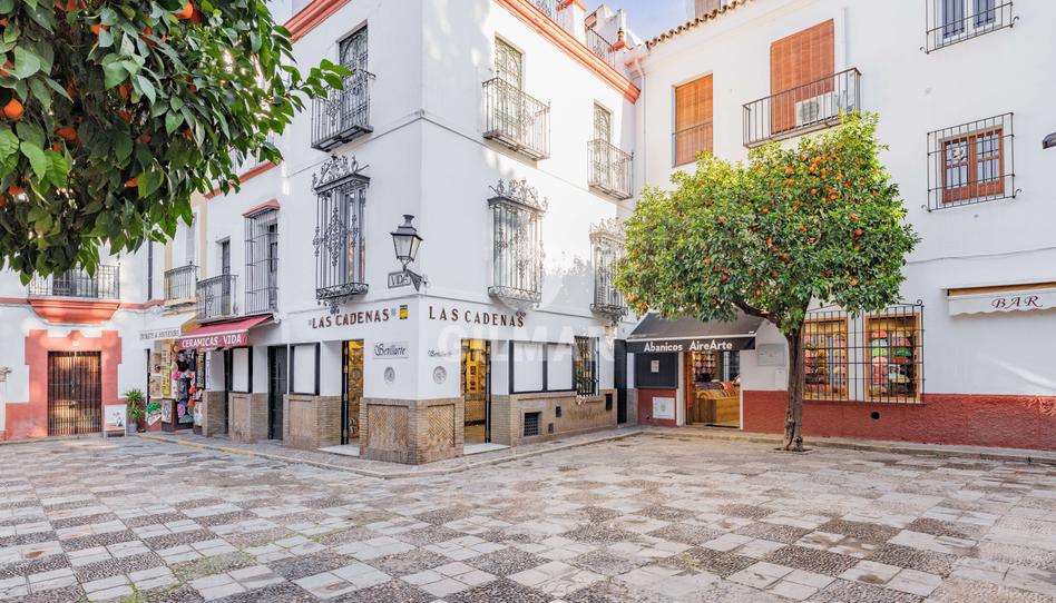 Foto 1 de Dúplex en venta en Alfalfa - Santa Cruz, Sevilla