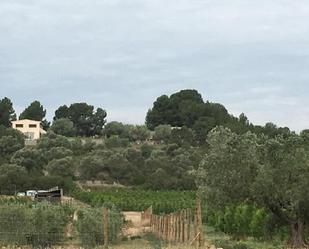 Land for sale in Móra d'Ebre