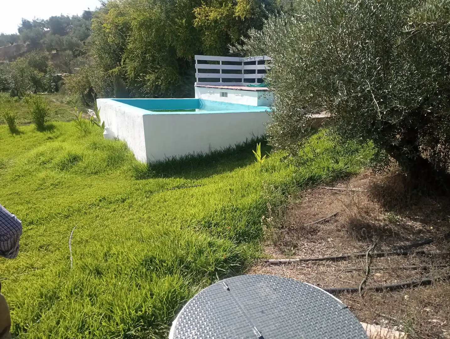 Piscina de Finca rústica en venda en Alcaudete
