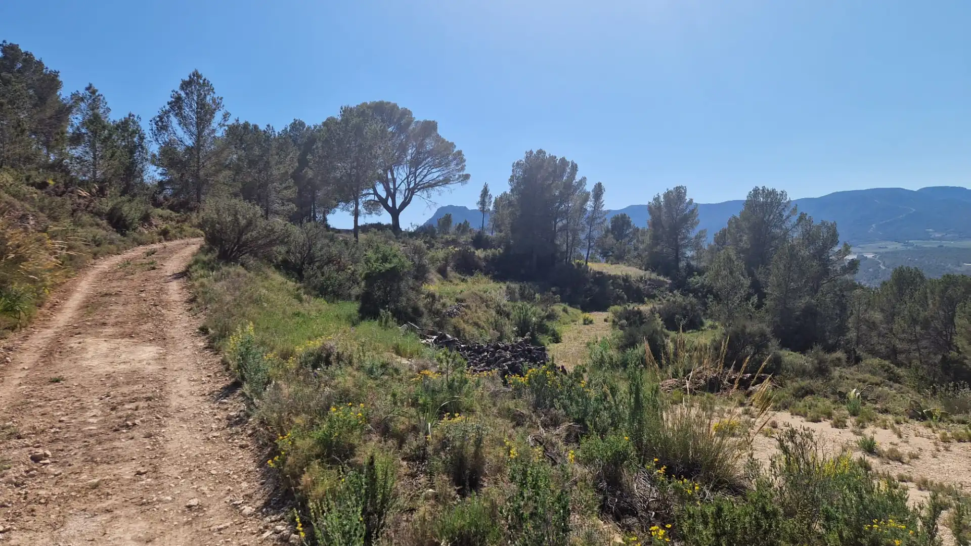 Terreno rustico in vendita a Lugar Castillo, imagen 6