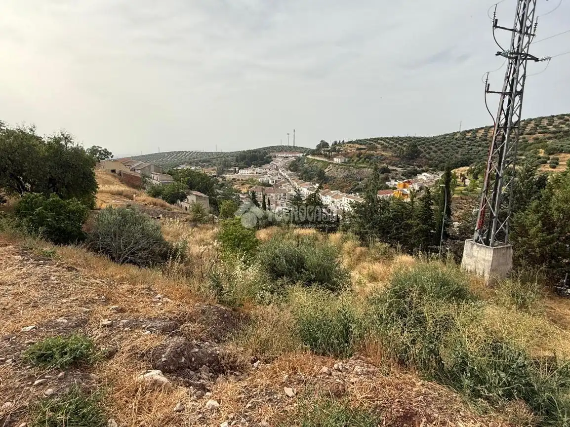 Terreni e lotti in vendita a Martos, imagen 18