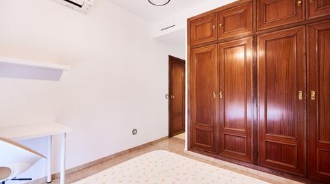 Foto 3 de Habitació a Triana Este, Sevilla Capital