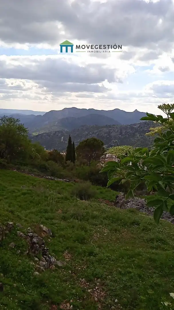 Terrain rustique à vendre à Benaocaz, imagen 5