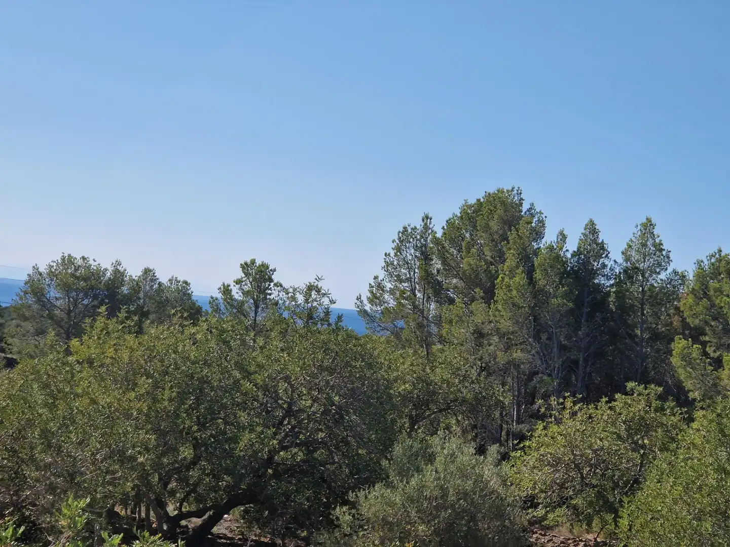 Country homes for sale in Vandellòs i l'Hospitalet de l'Infant  with Private garden, Terrace and Storage room