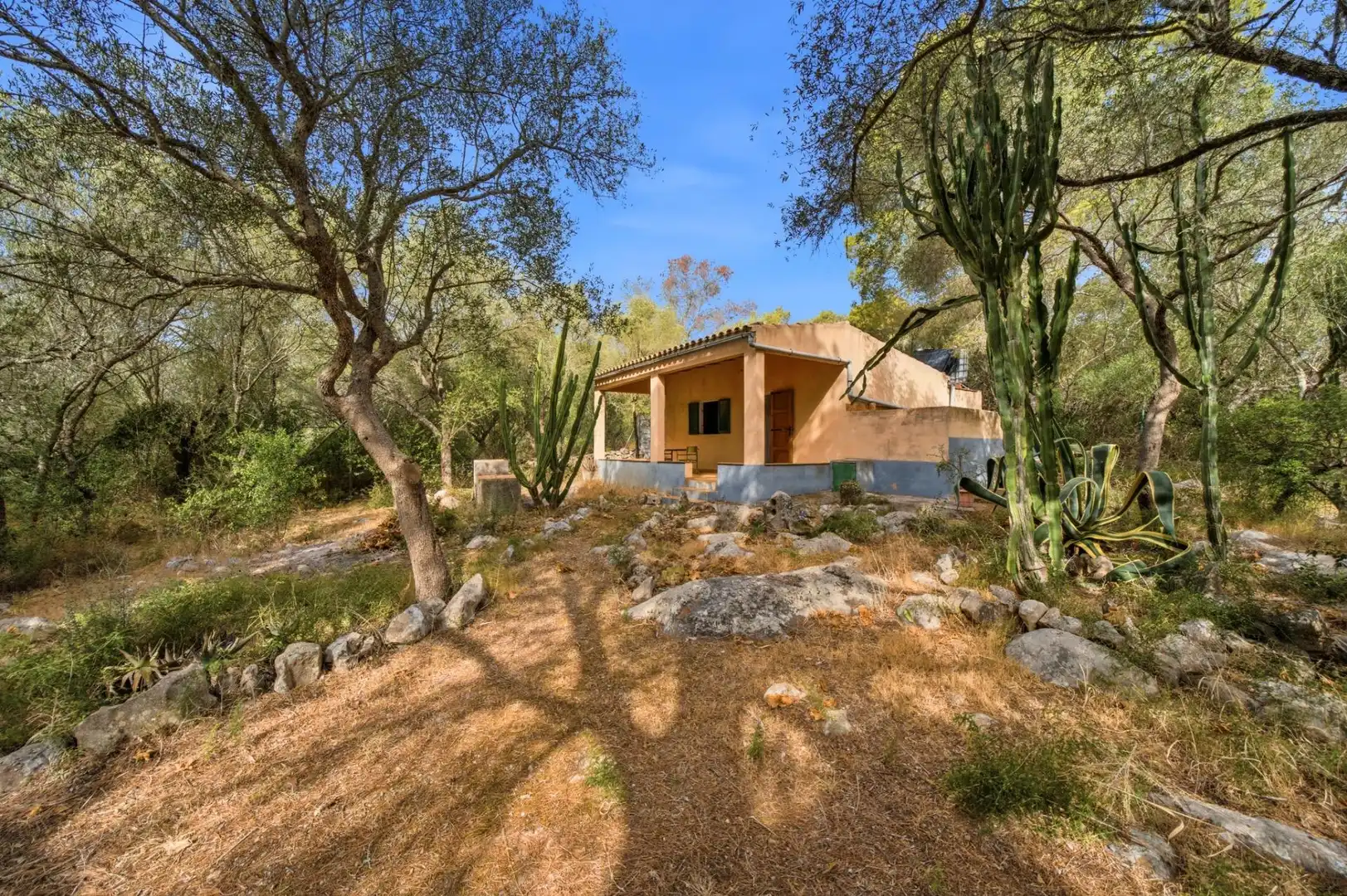 Vista exterior de Finca rústica en venda en Petra amb Jardí privat, Terrassa i Traster