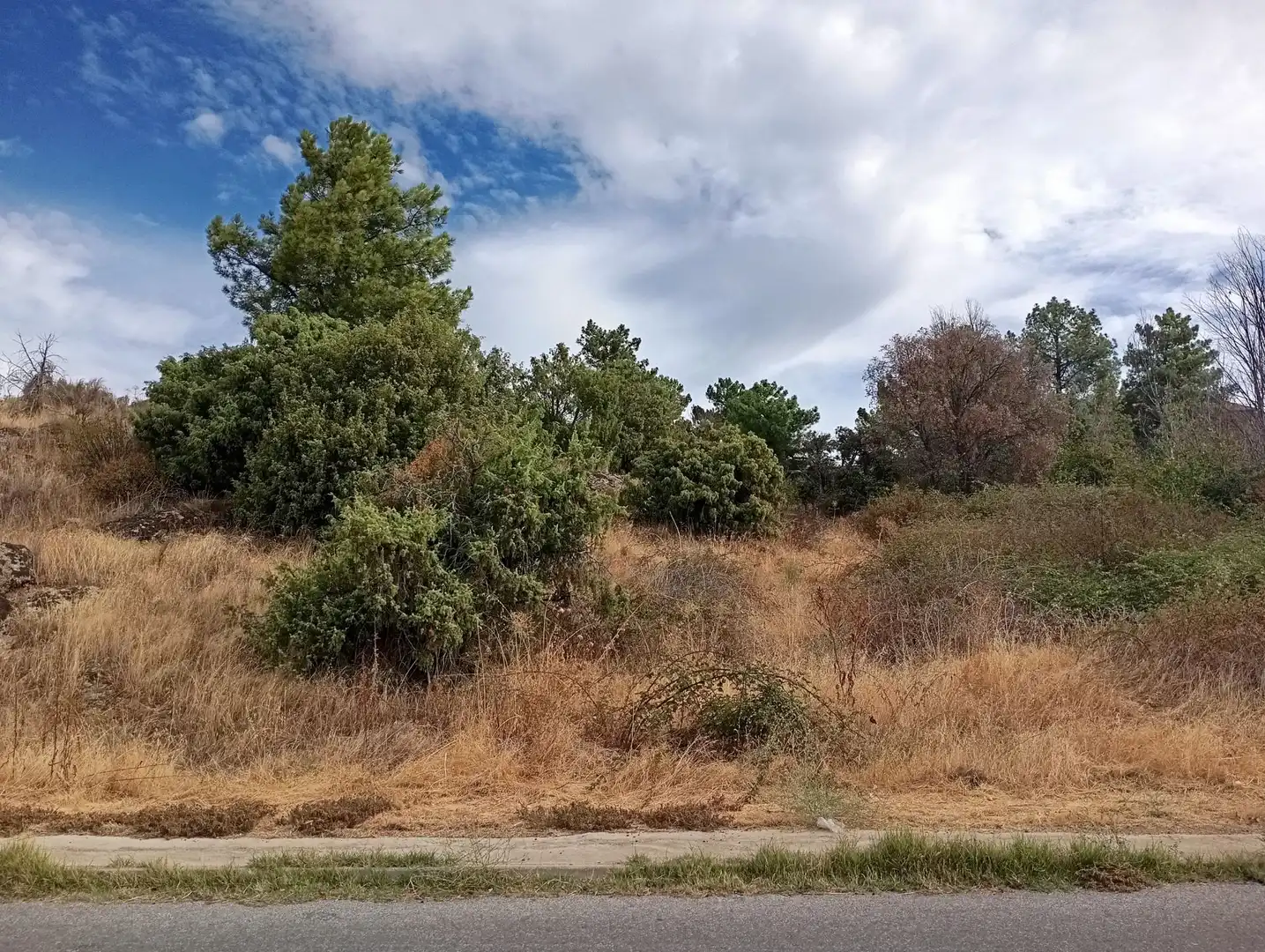 Terrenos y solares en venta en Robledo de Chavela, imagen 22
