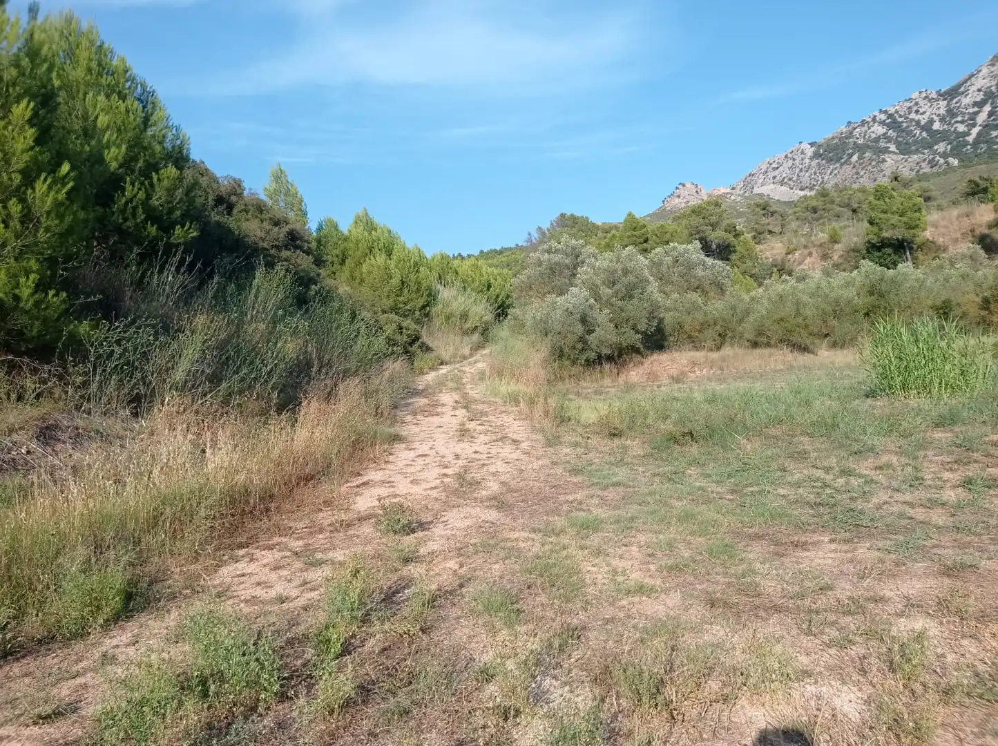 Land for sale in Horta de Sant Joan