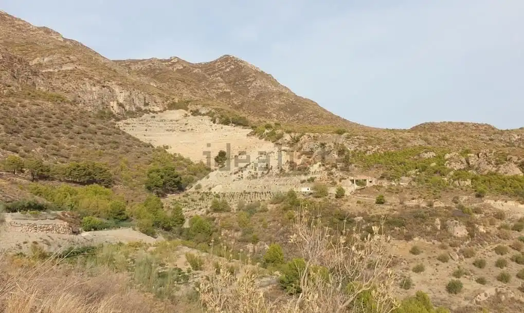 Terreno rústico en venta en Motril  ciudad, imagen 6