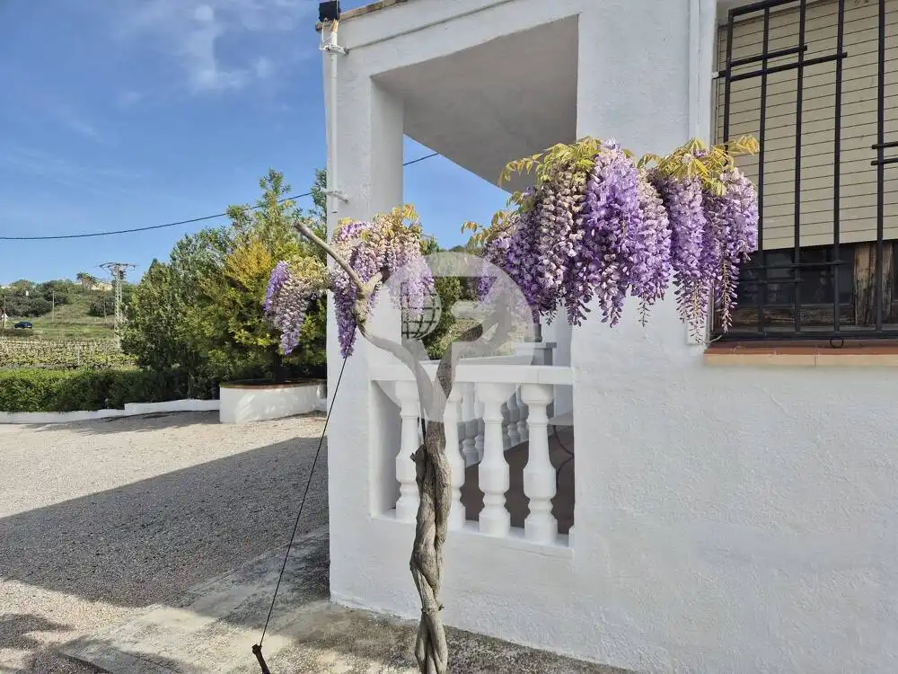Casa rústica en venda a Sant Martí Sarroca, imagen 58
