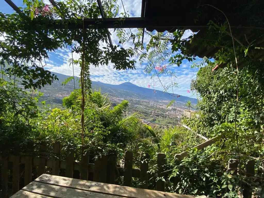 Garden of Country homes for sale in La Orotava  with Alarm