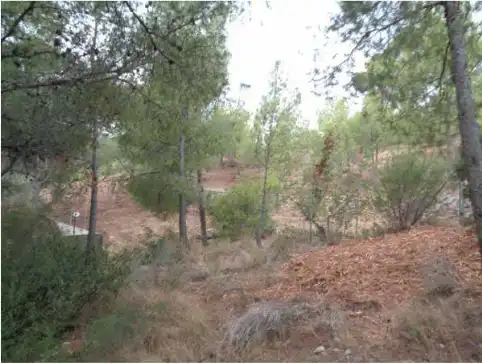 Wohnbaugrundstück zum Verkauf in Carrer el Timonet 383, imagen 6